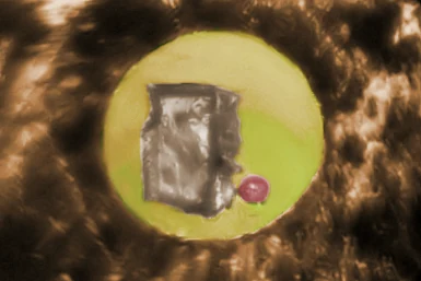 Ruby ball placed beside the sample inside the gasket hole of a diamond anvil cell